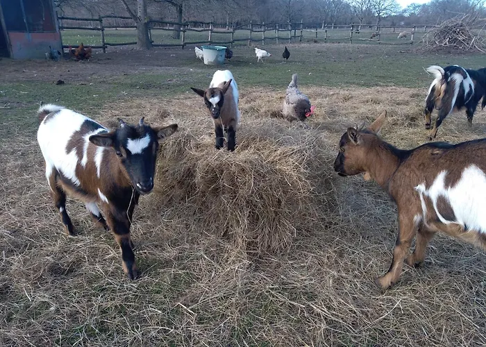Eco Nature, Gite A La Ferme