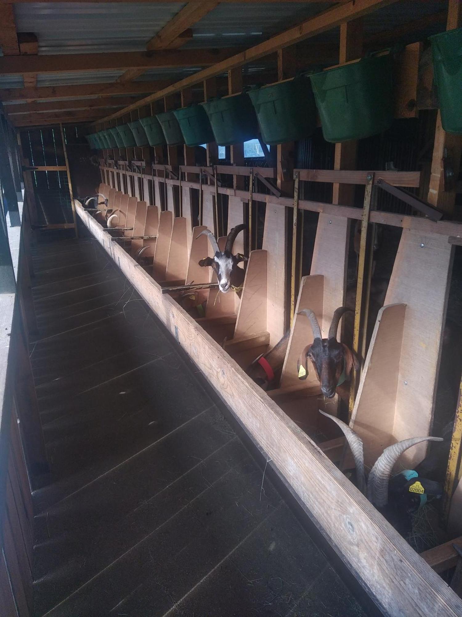 Eco Nature, A La Ferme * Vendays-Montalivet