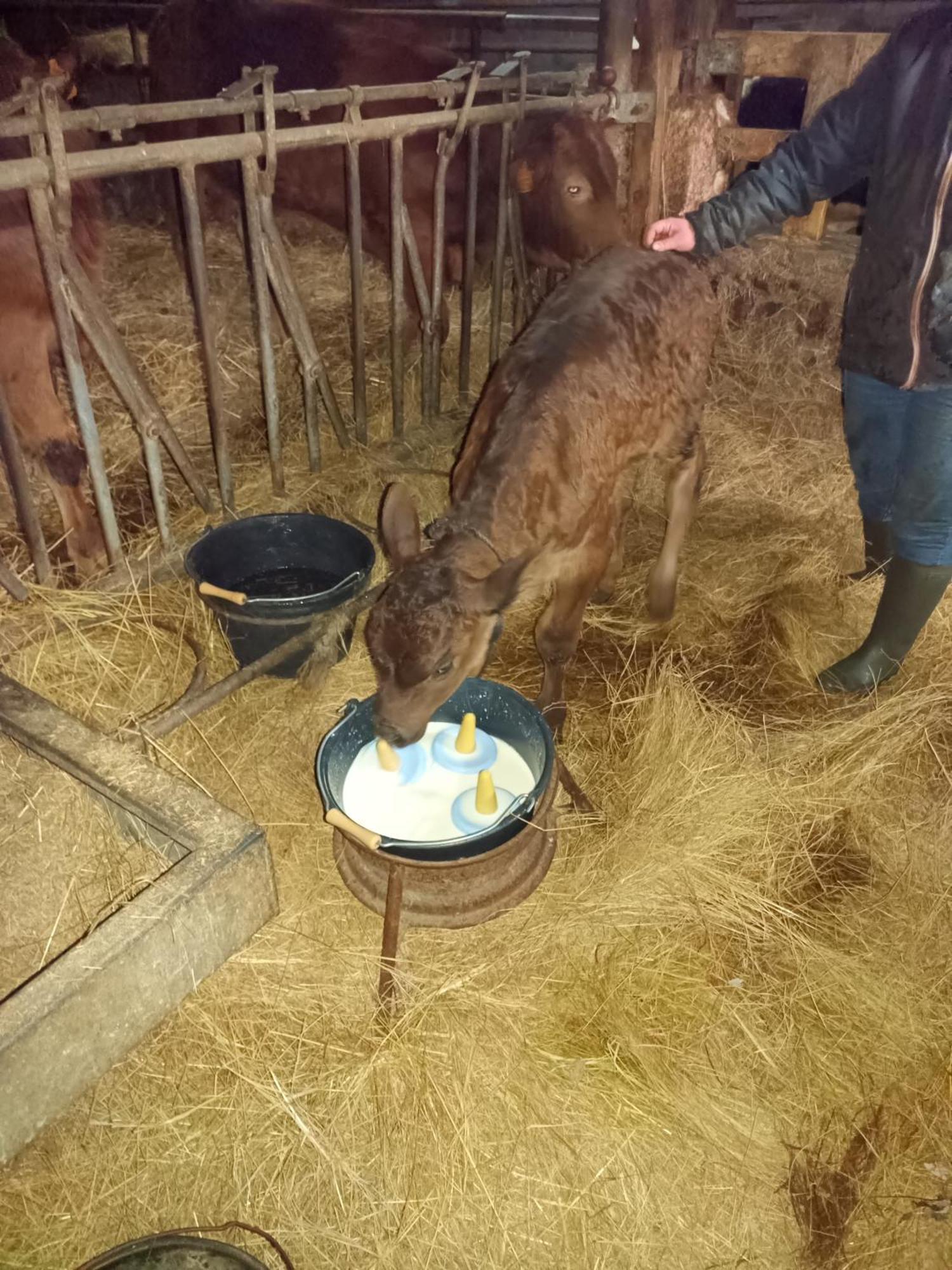 Eco Nature, A La Ferme