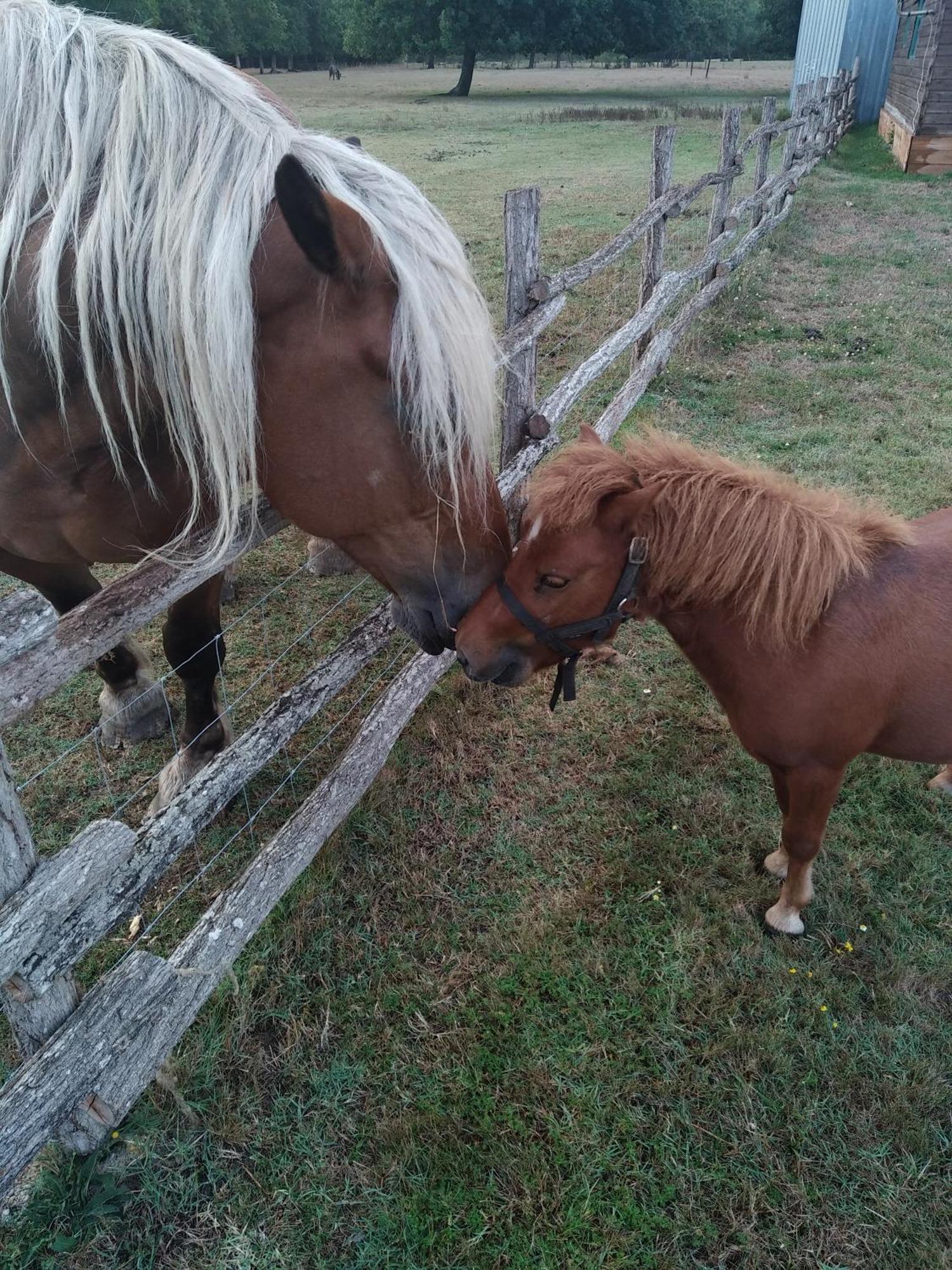 Eco Nature, A La Ferme *