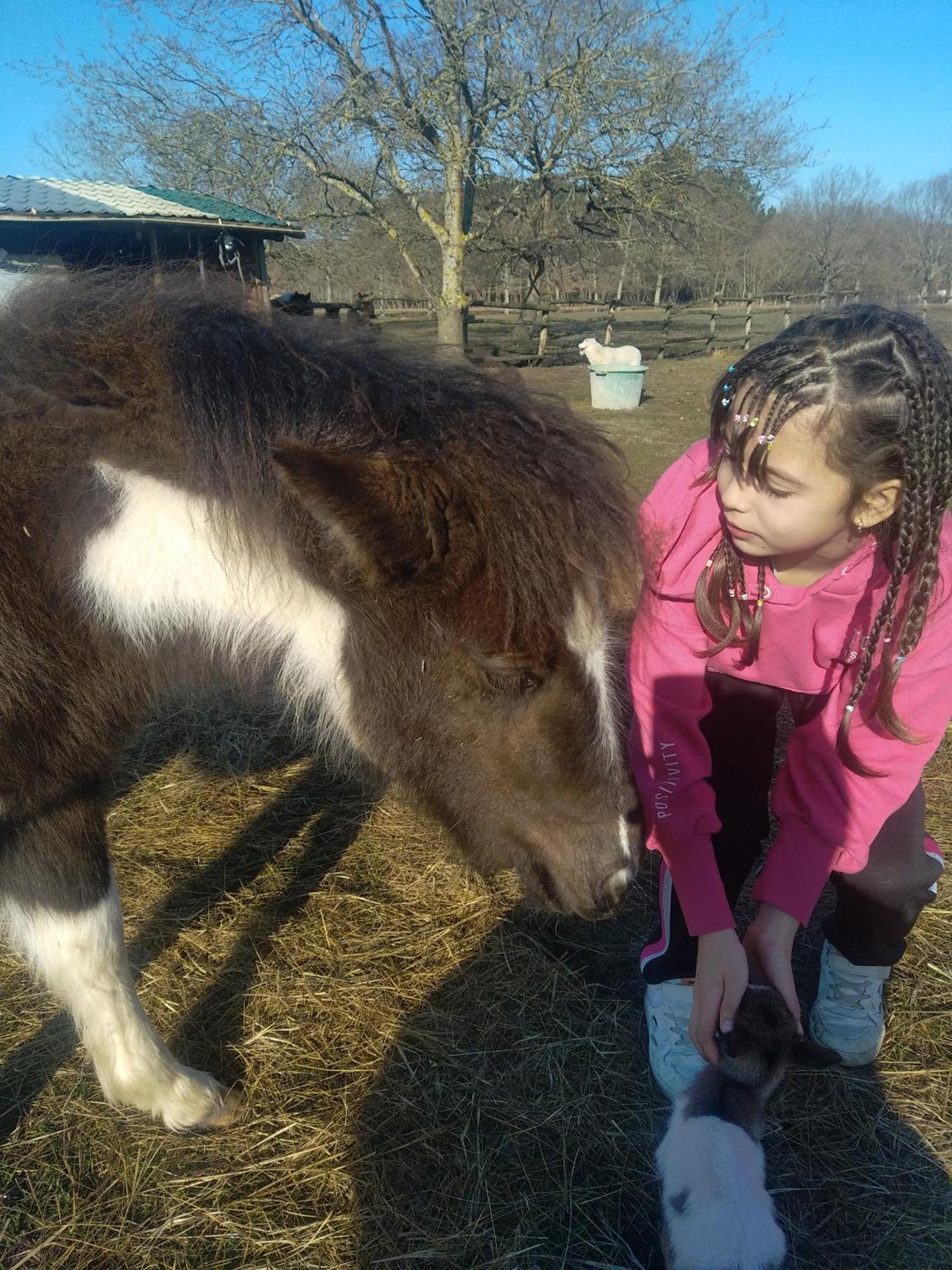 Eco Nature, A La Ferme