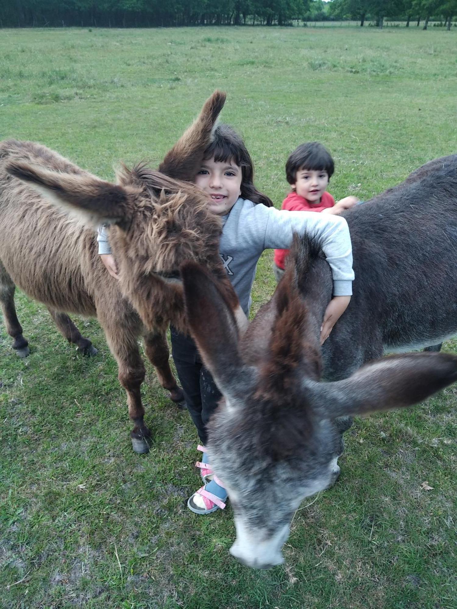 Apartment Eco Nature, A La Ferme Vendays-Montalivet